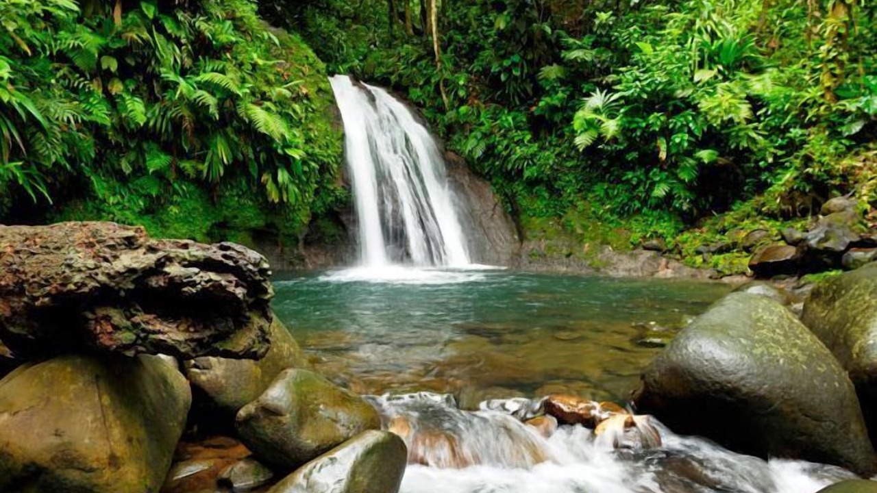 Photo of Outdoor in Le Gosier