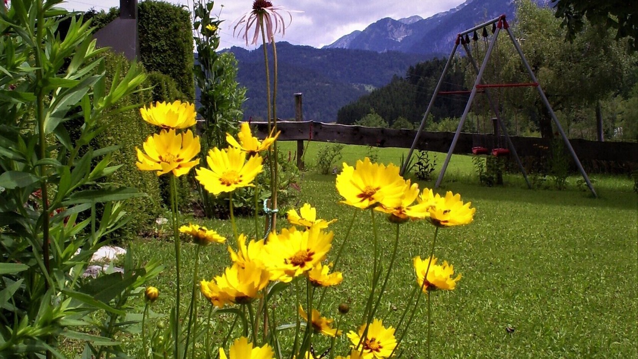 Photo of Outdoor in Abtenau