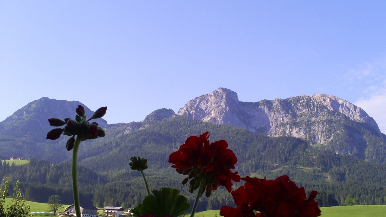 Photo of Outdoor in Abtenau