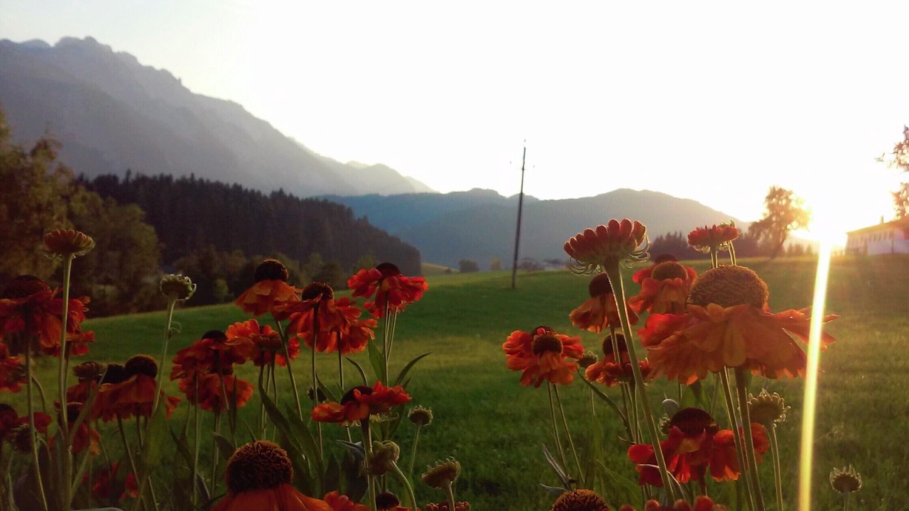 Photo of Outdoor in Abtenau