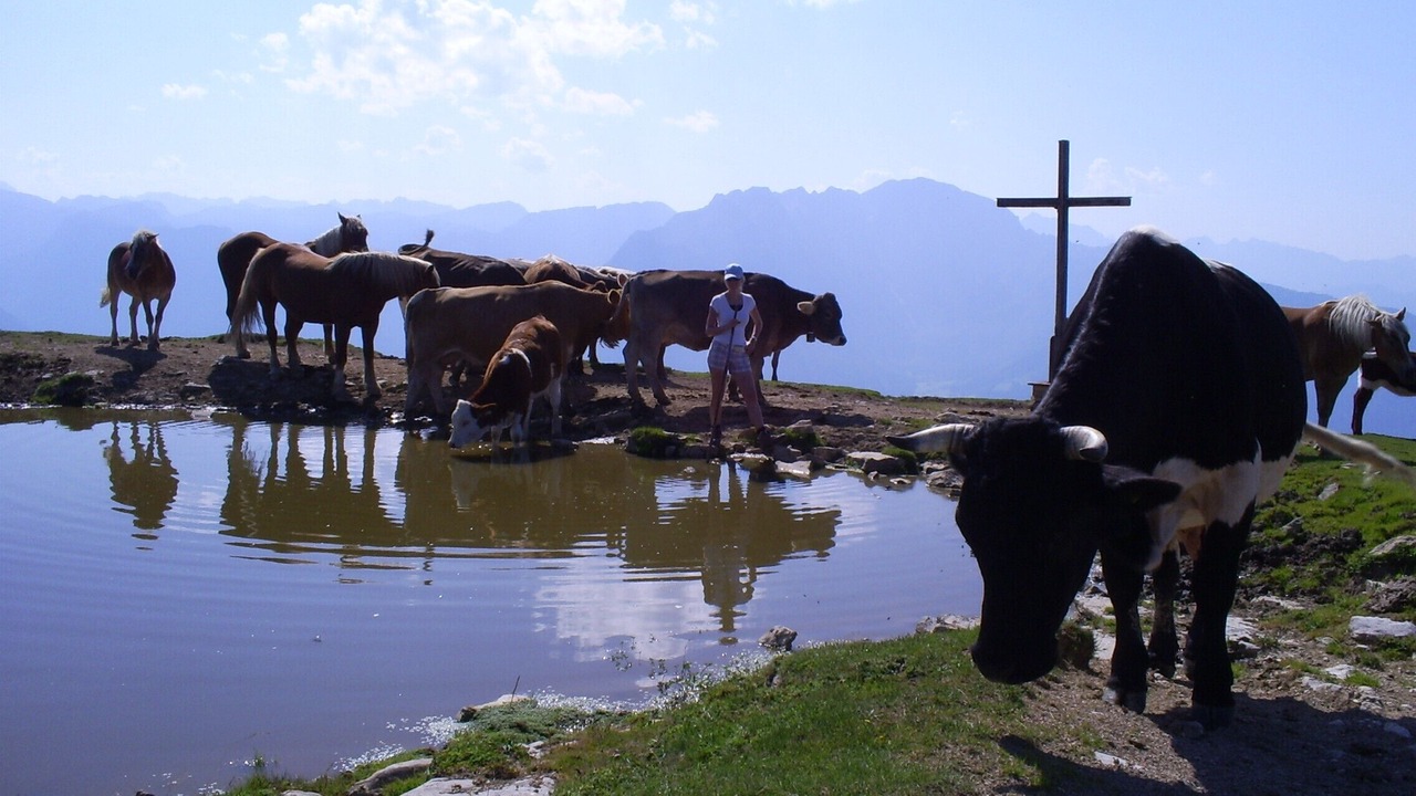 Photo of Others in Abtenau