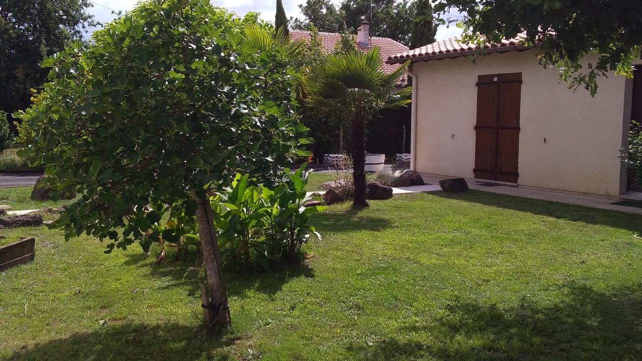 Photo of Outdoor in Le Teich