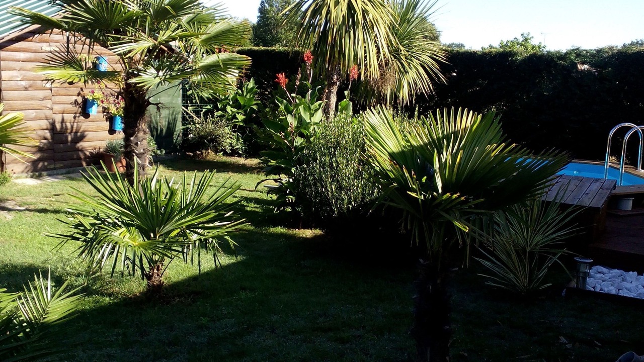 Photo of Outdoor in Le Teich