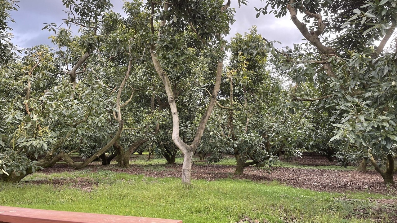 Photo of Outdoor in Omanawa