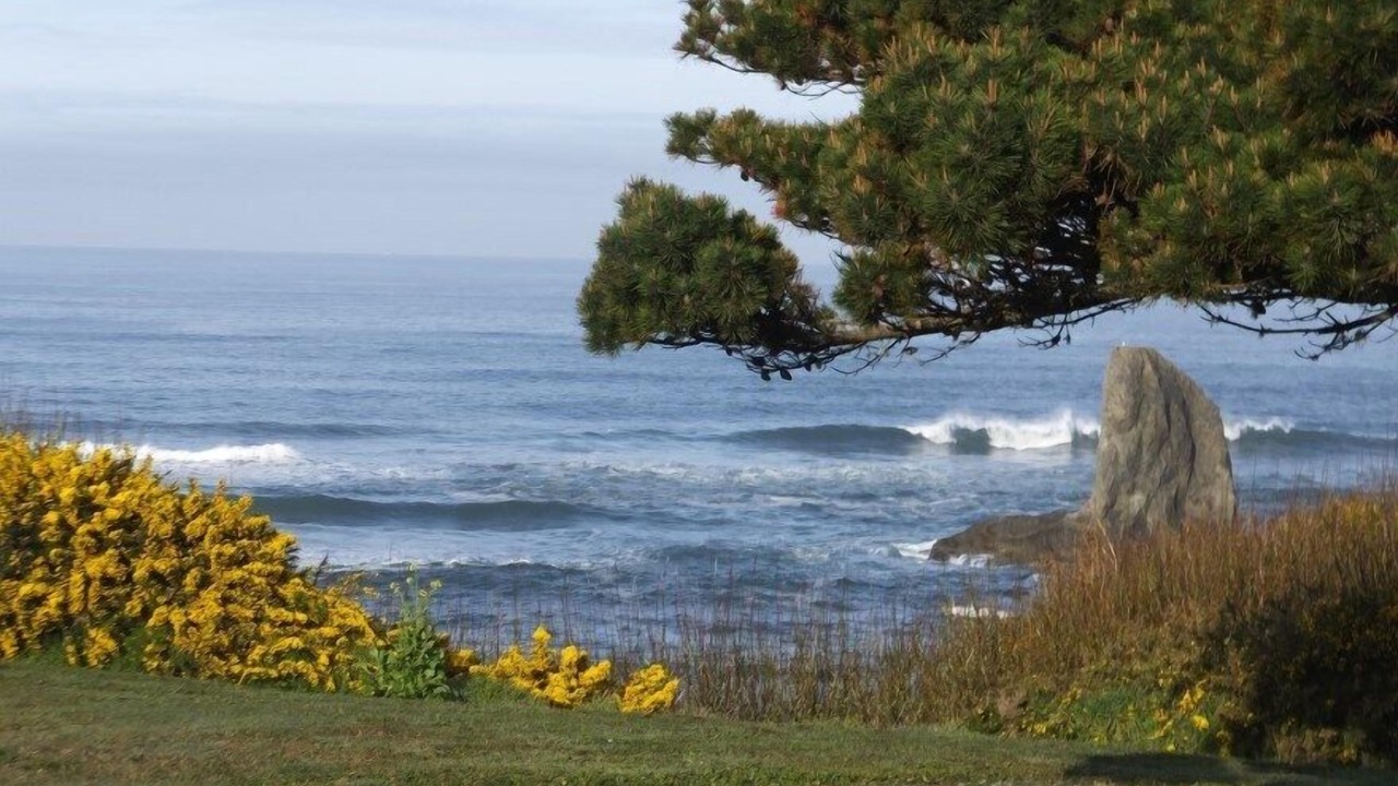 Photo of Others in Bandon