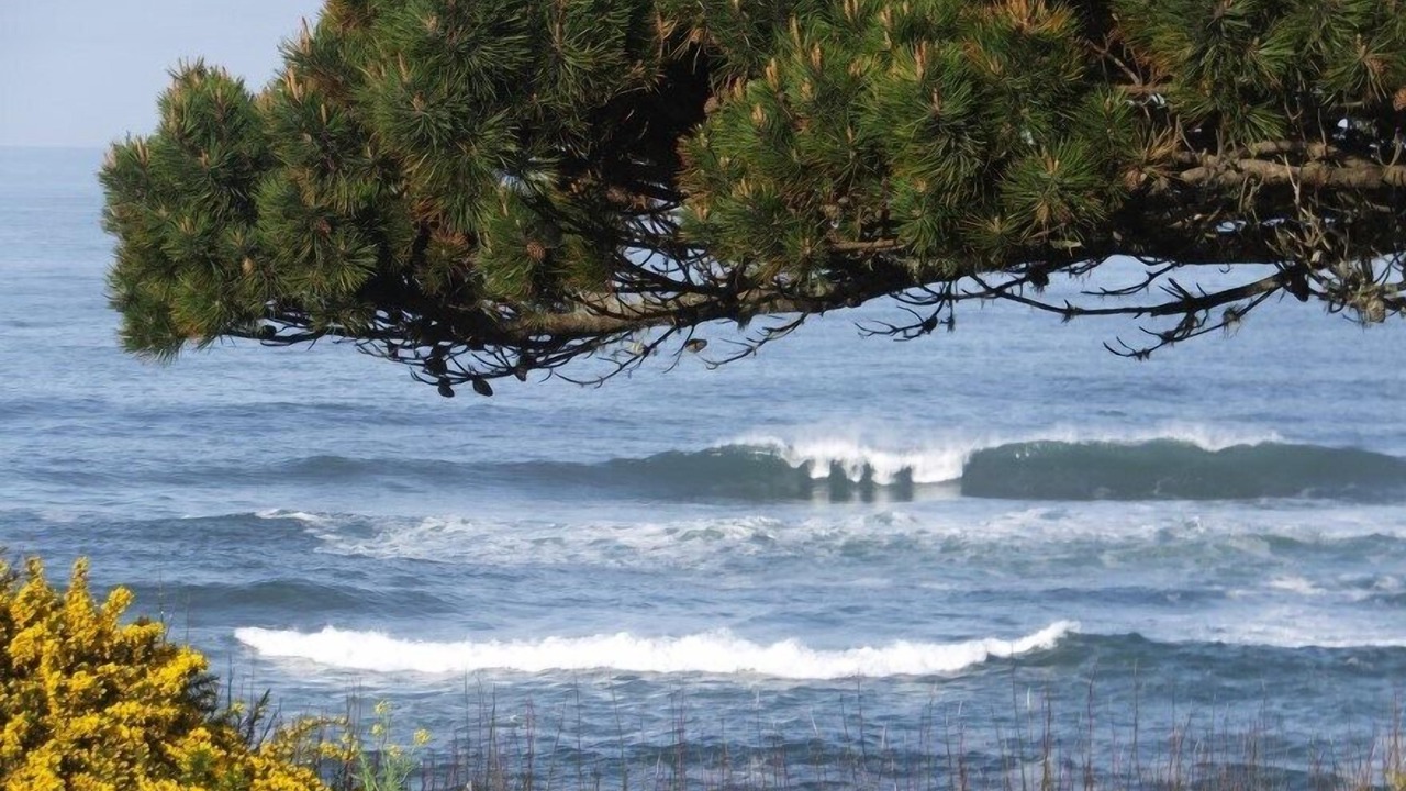 Photo of Others in Bandon