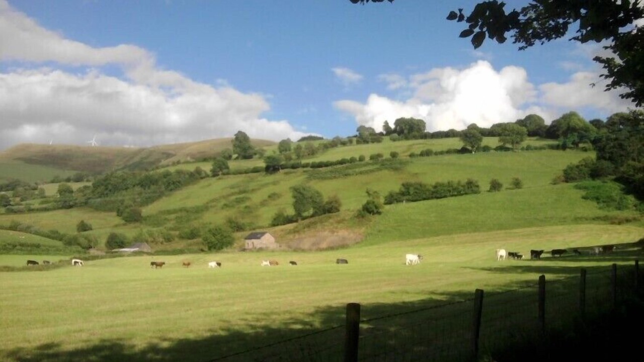 Photo of Others in Machynlleth