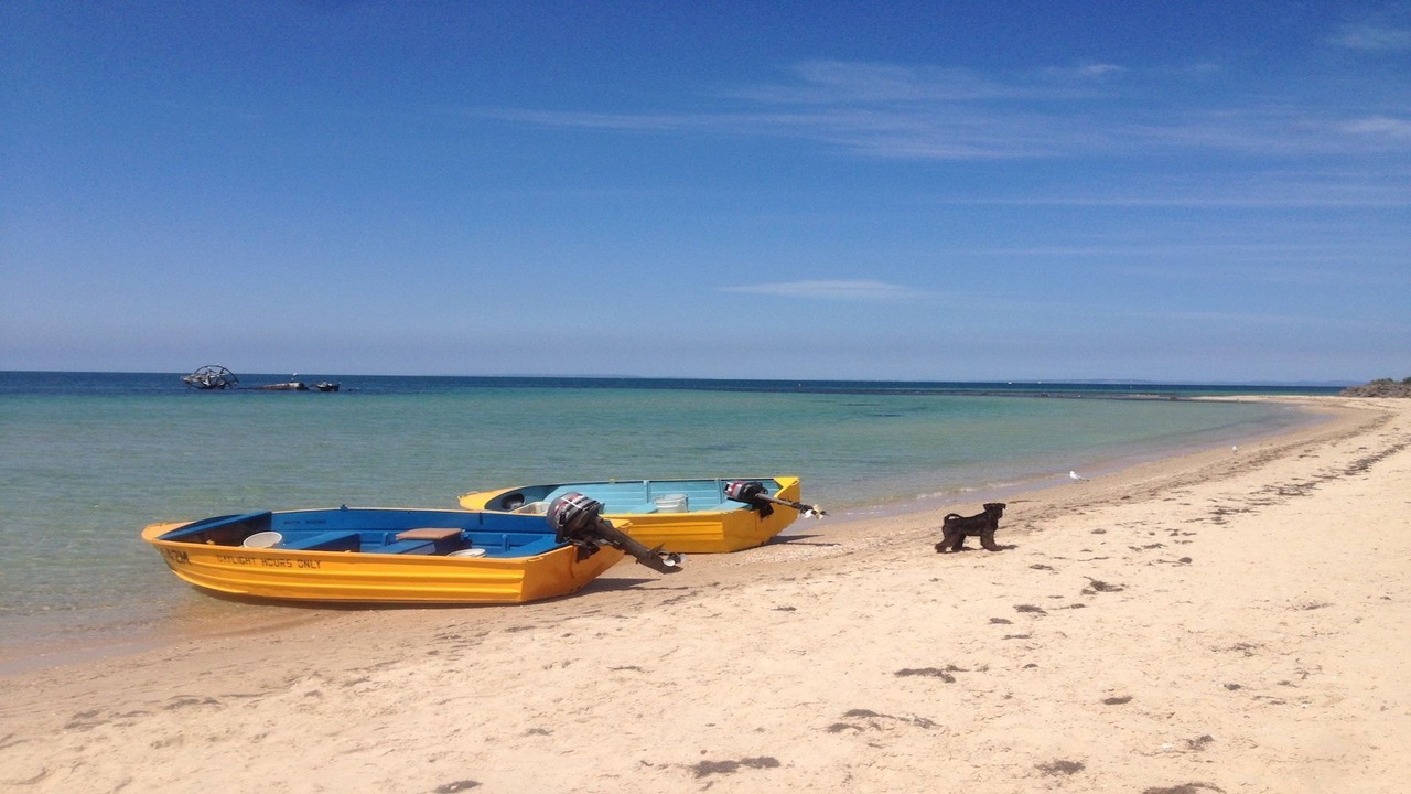 Photo of Others in Indented Head