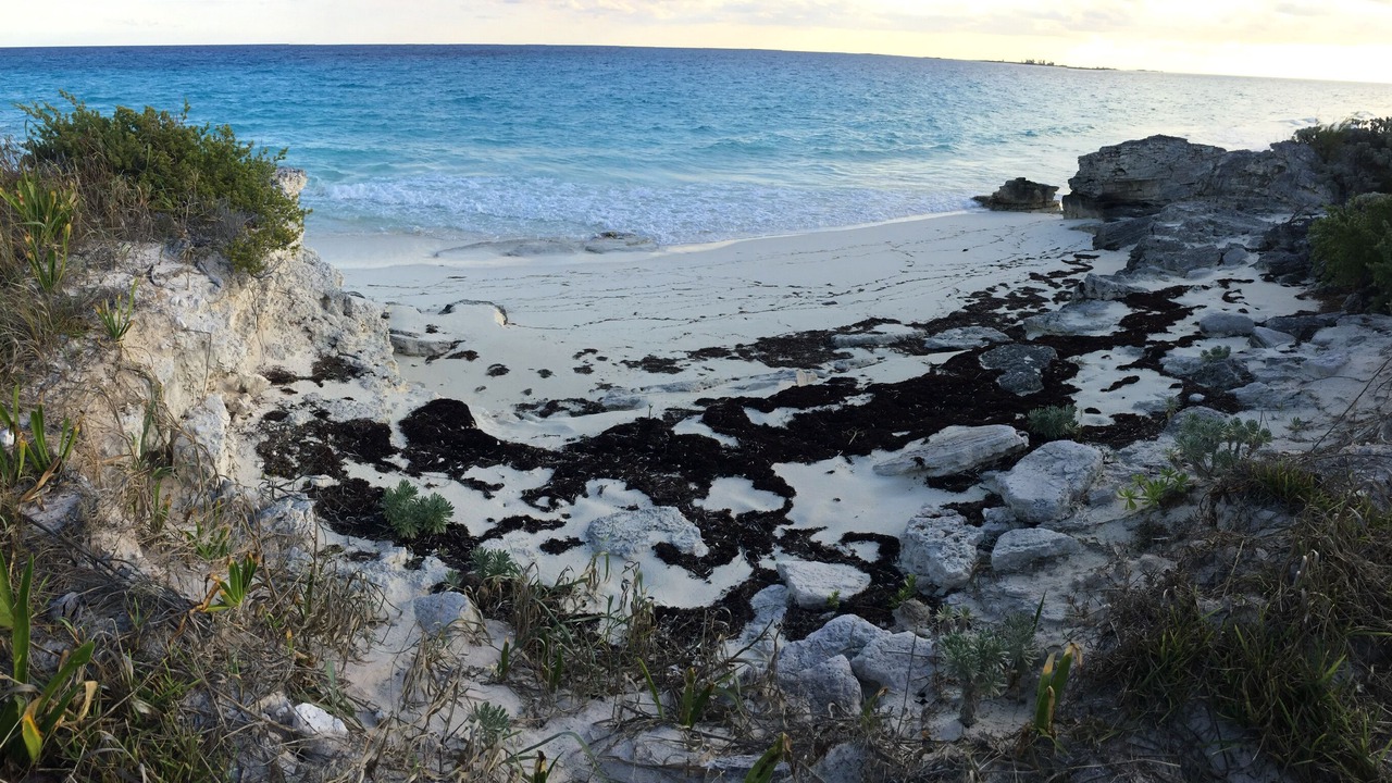 Photo of Others in Great Harbour Cay