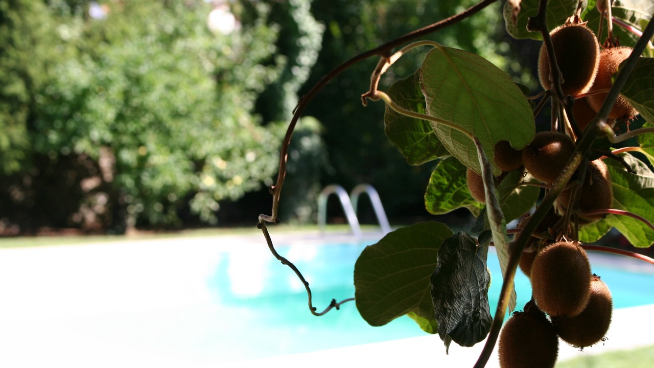 Photo of Outdoor in Vicopelago