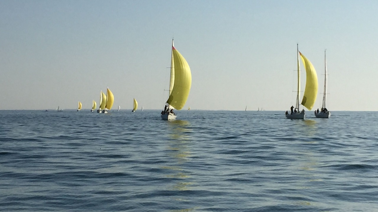 Photo of Others in Saint-Philibert
