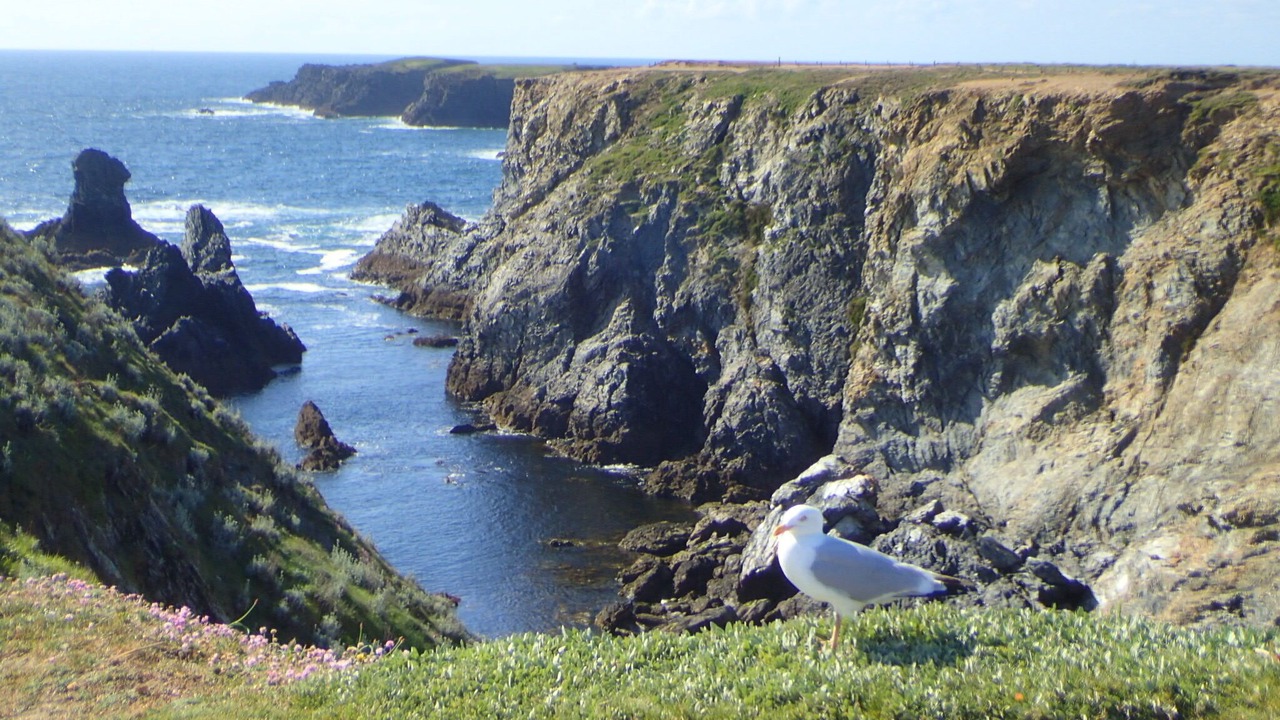 Photo of Others in Saint-Philibert