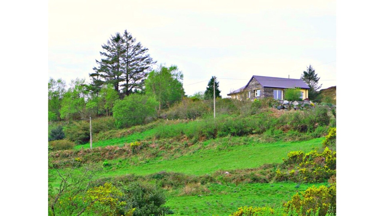 Photo of Others in Templenoe