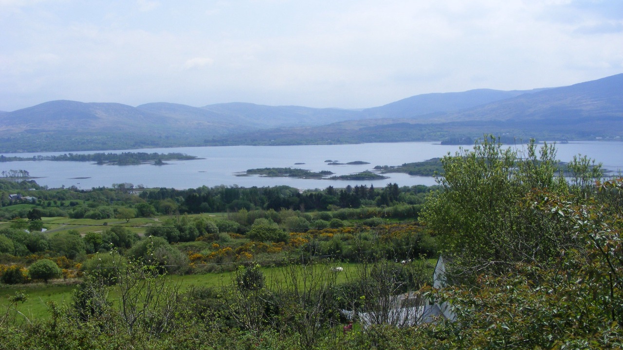 Photo of Others in Templenoe