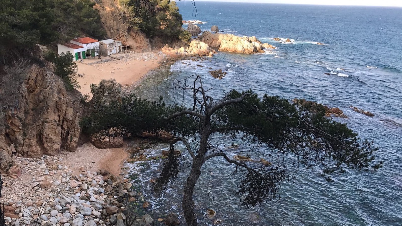 Photo of Others in Calella de Palafrugell