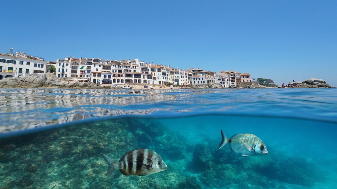 Photo of Others in Calella de Palafrugell