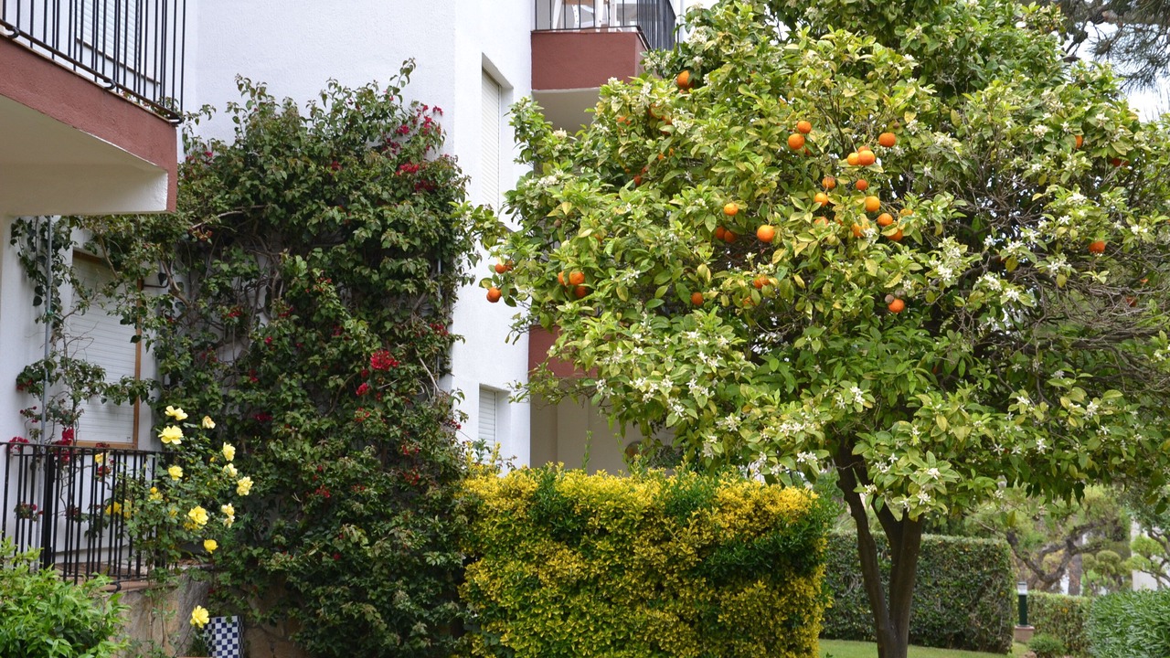 Photo of Outdoor in Calella de Palafrugell