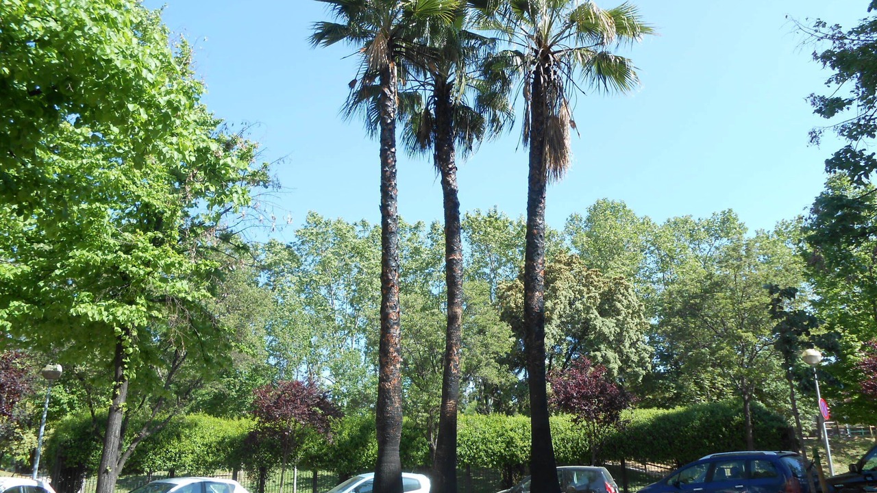 Photo of Outdoor in Granollers