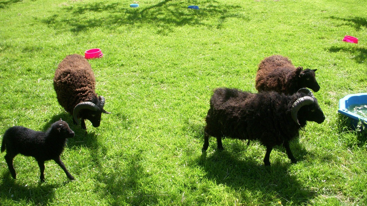 Photo of Others in Bures