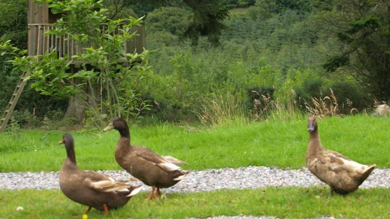 Photo of Others in Knockaderry Cross Roads