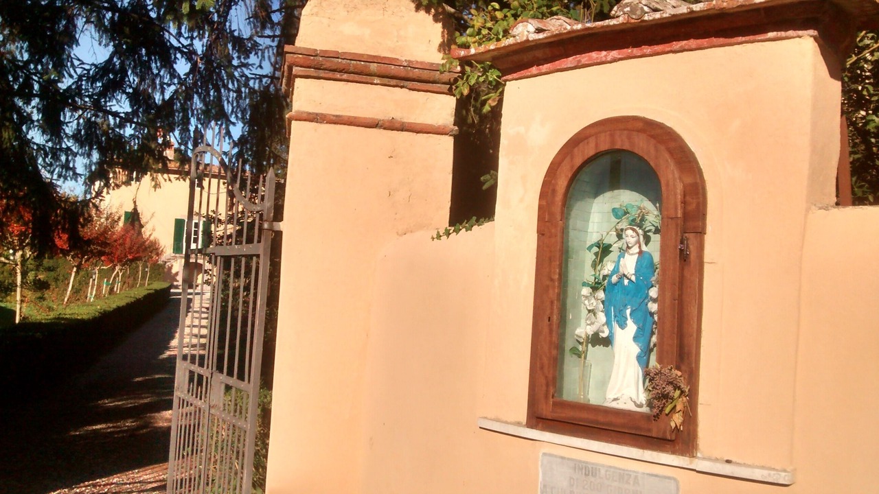 Photo of Outdoor in Vicopelago