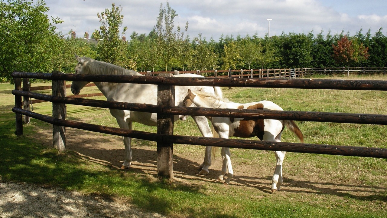 Photo of Outdoor in Bayeux