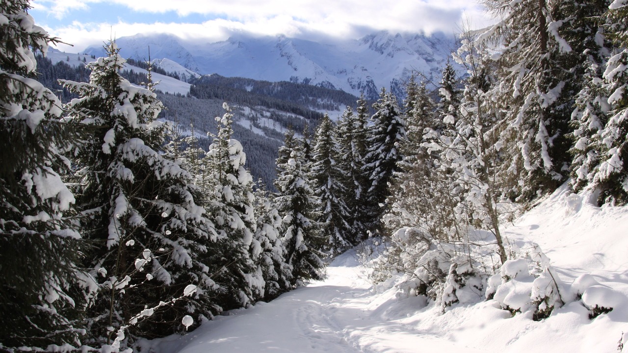Photo of Others in Bramberg am Wildkogel