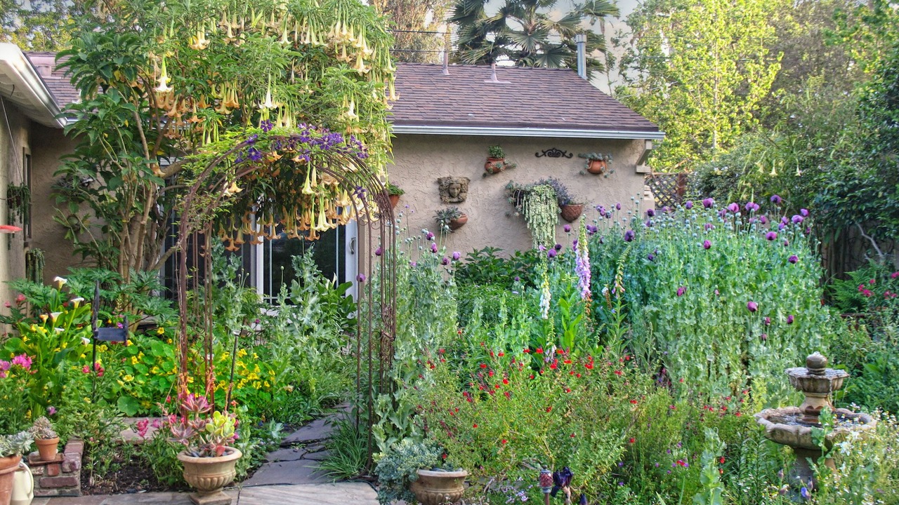 Photo of Outdoor in Valley Village