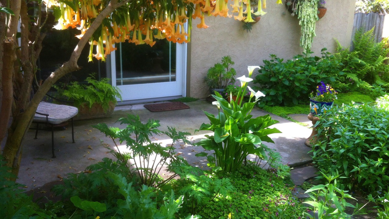 Photo of Outdoor in Valley Village