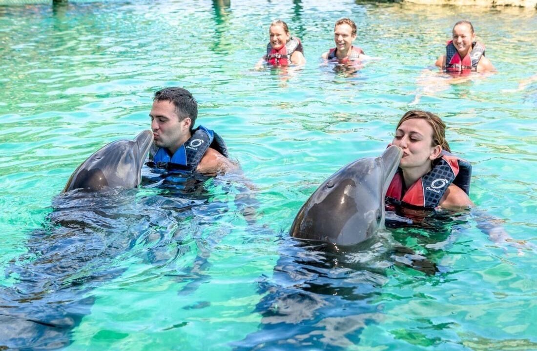 Photo of Others in Paradise Island