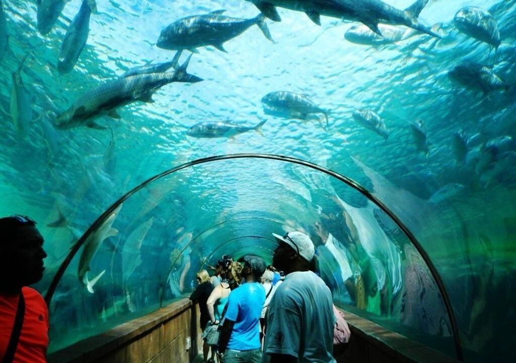 Photo of Others in Paradise Island