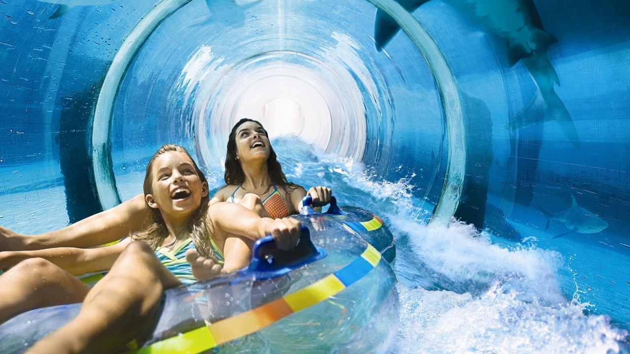 Photo of Others in Paradise Island