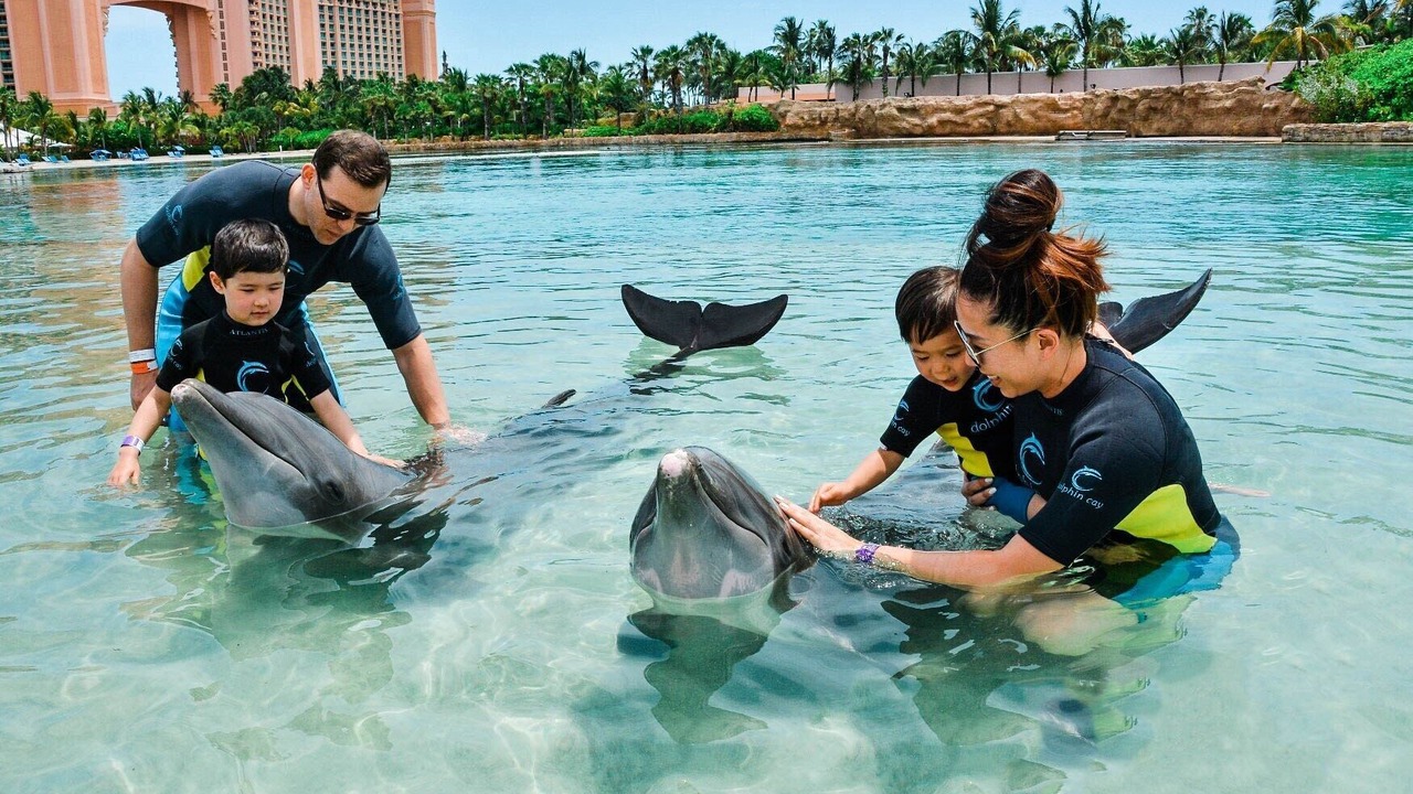 Photo of Others in Paradise Island