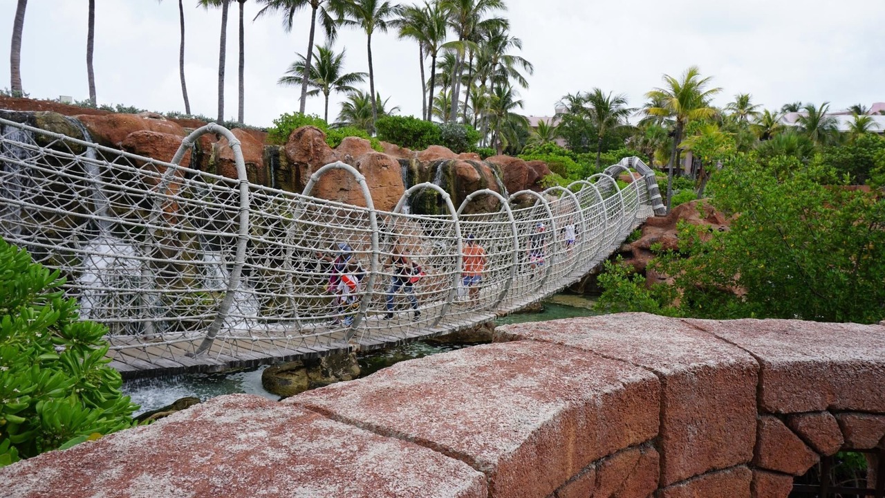 Photo of Others in Paradise Island