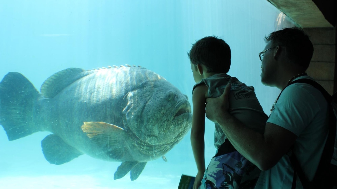 Photo of Others in Paradise Island