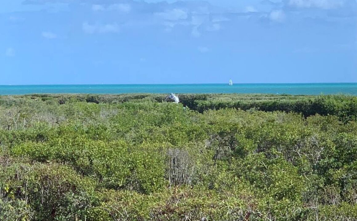 Photo of Others in Tavernier
