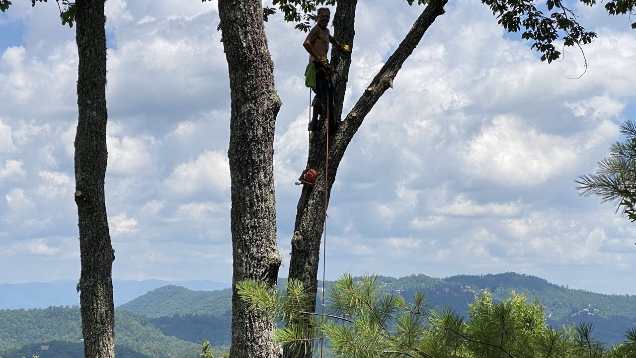 Photo of Others in Murphy