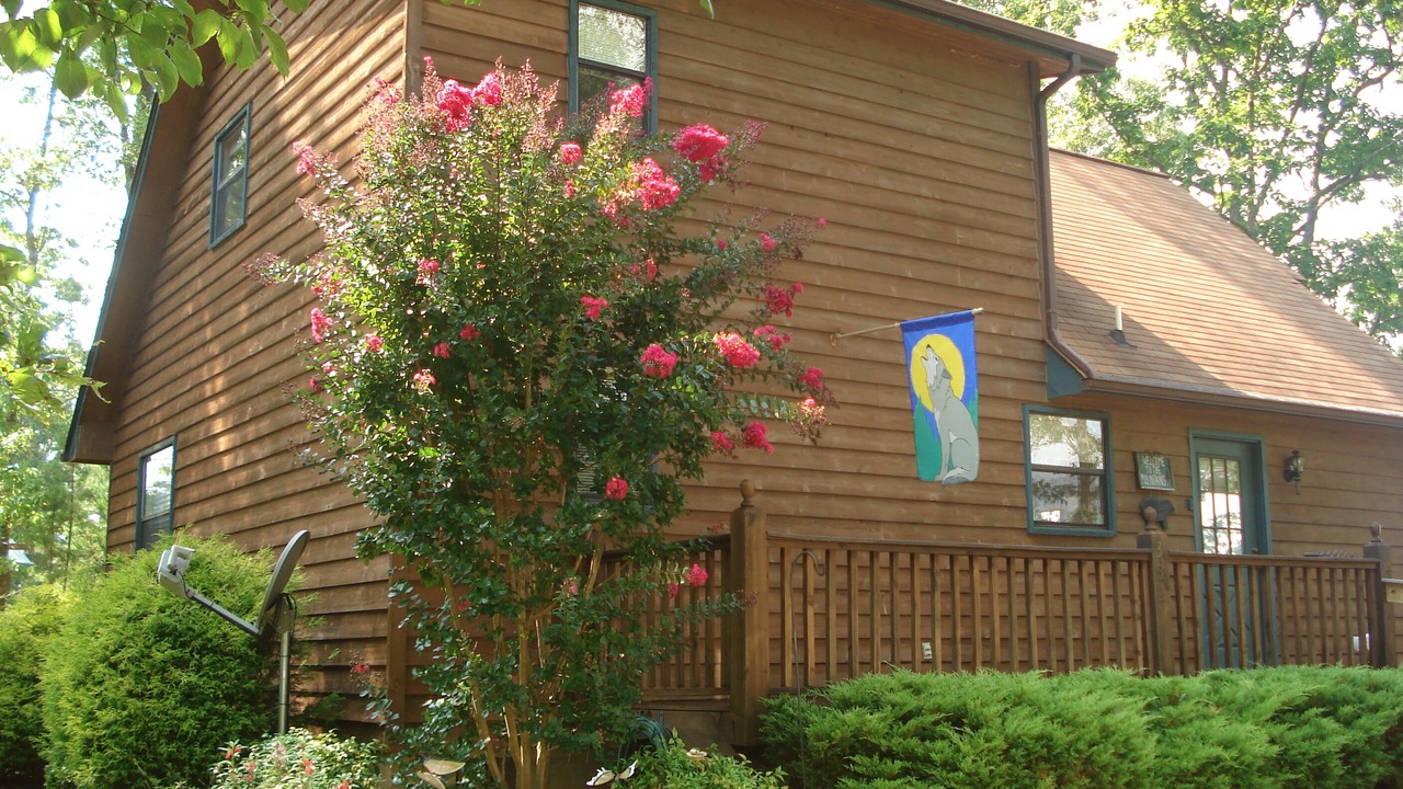 Photo of Outdoor in Murphy