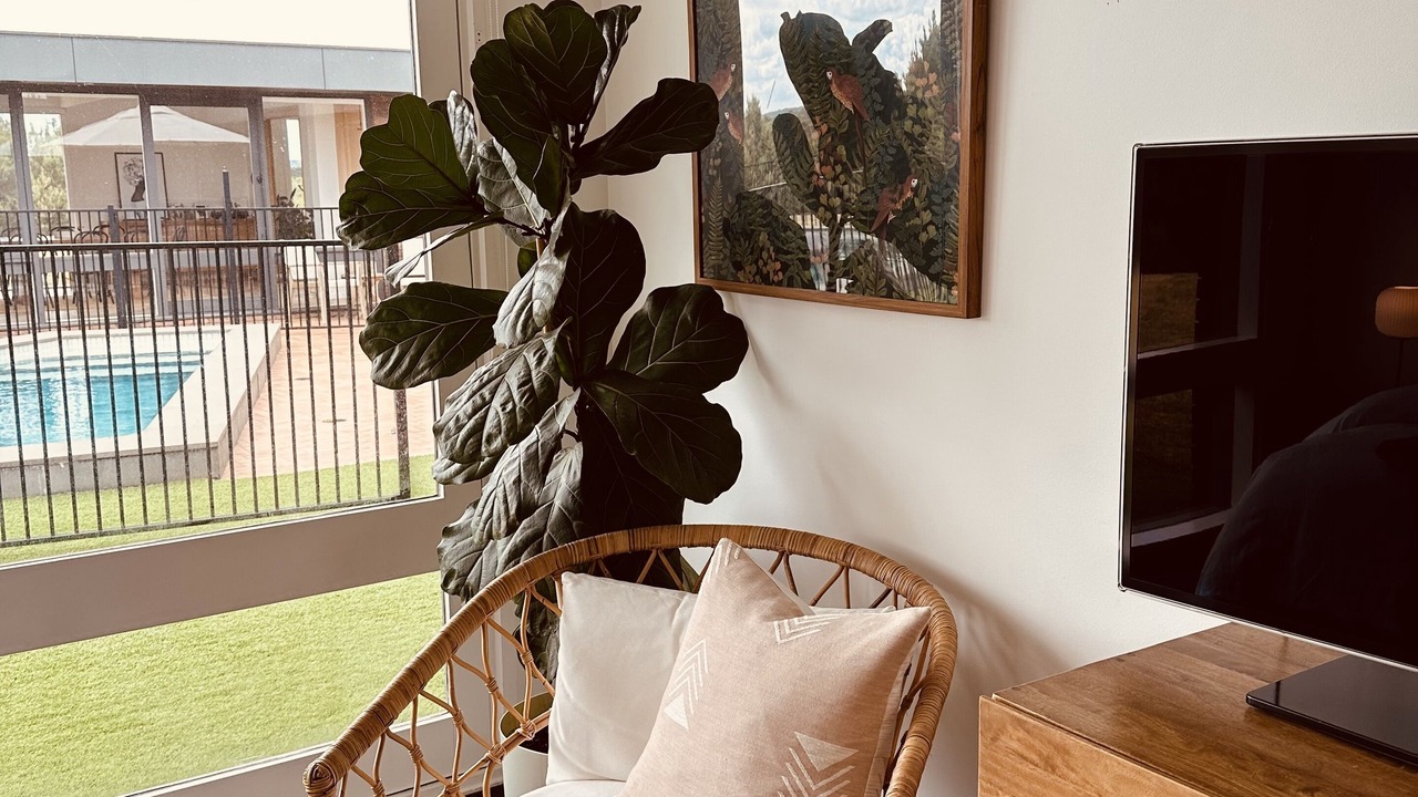 Photo of Livingroom in Fingal