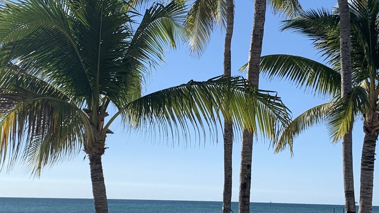 Photo of Outdoor in Marathon