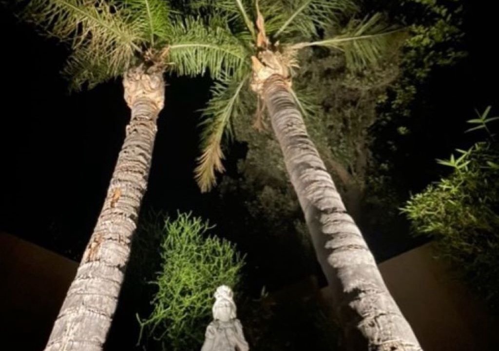 Photo of Outdoor in Arabian Views