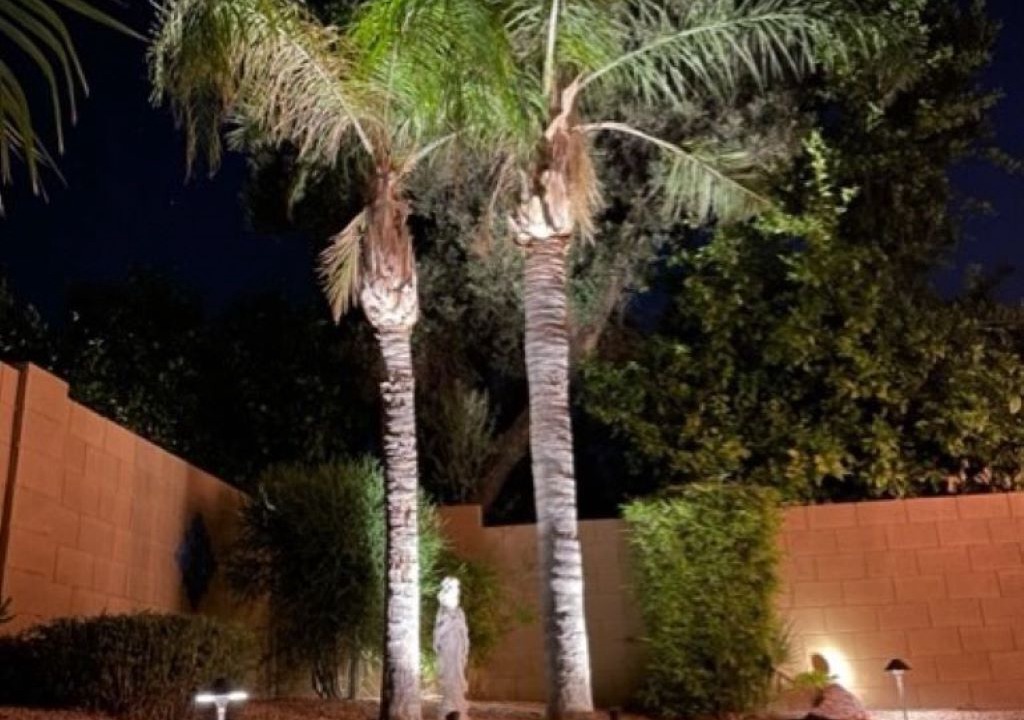 Photo of Outdoor in Arabian Views