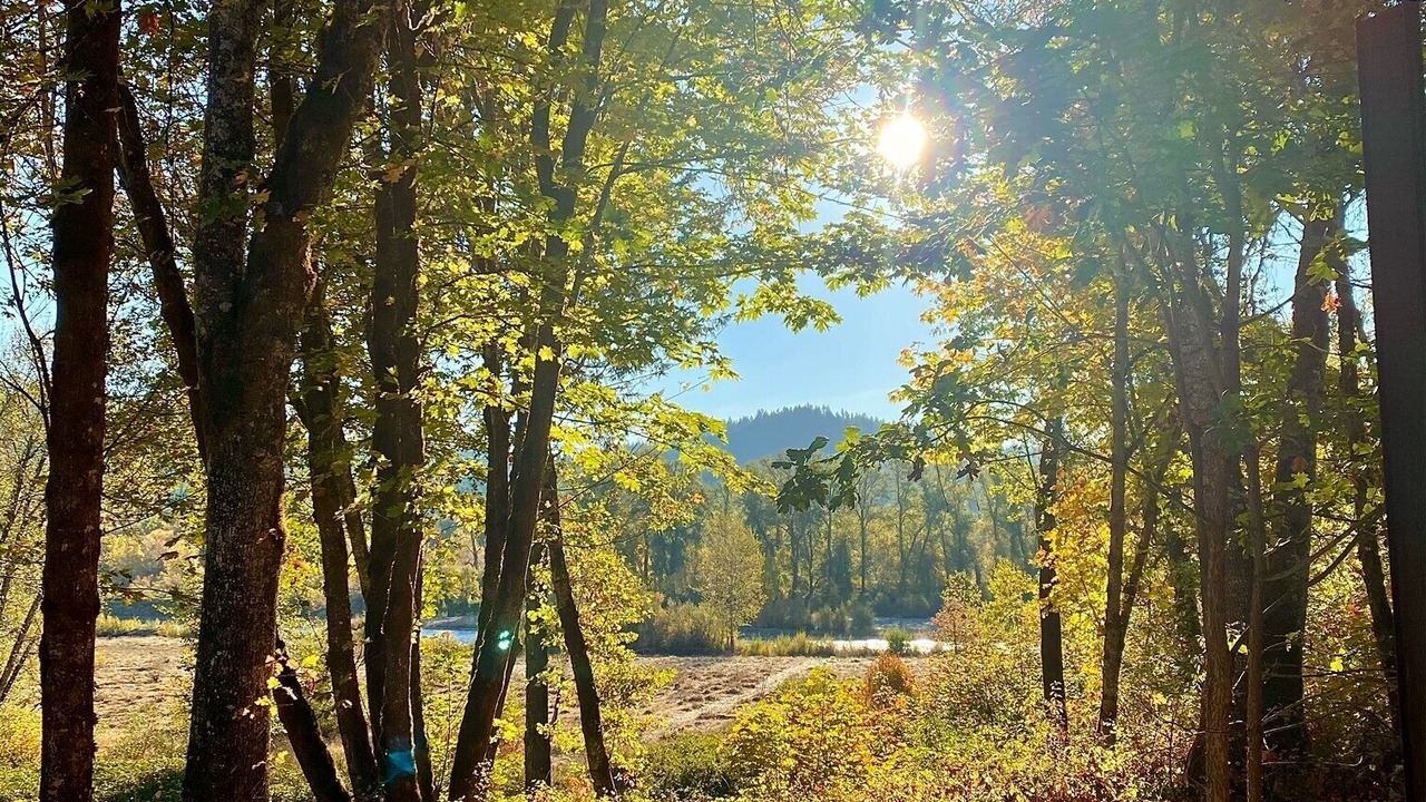 Photo of Outdoor in Grants Pass