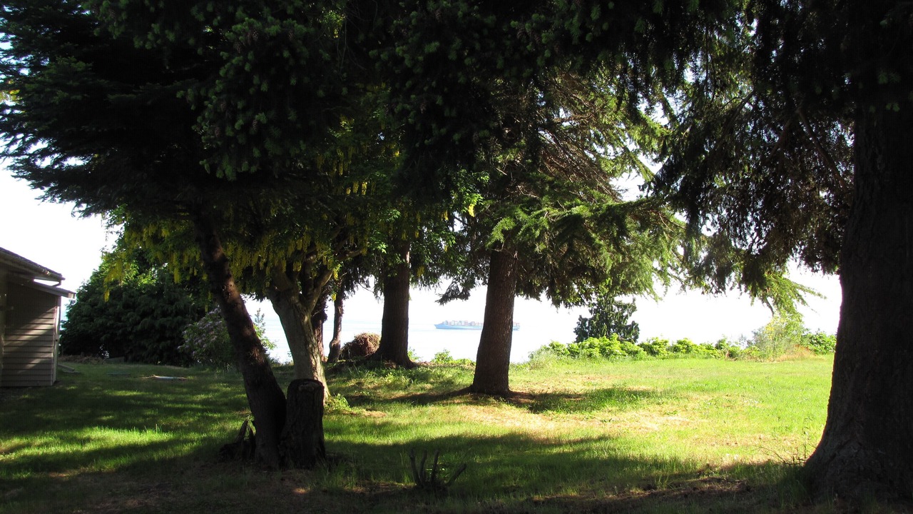 Photo of Outdoor in Port Angeles East