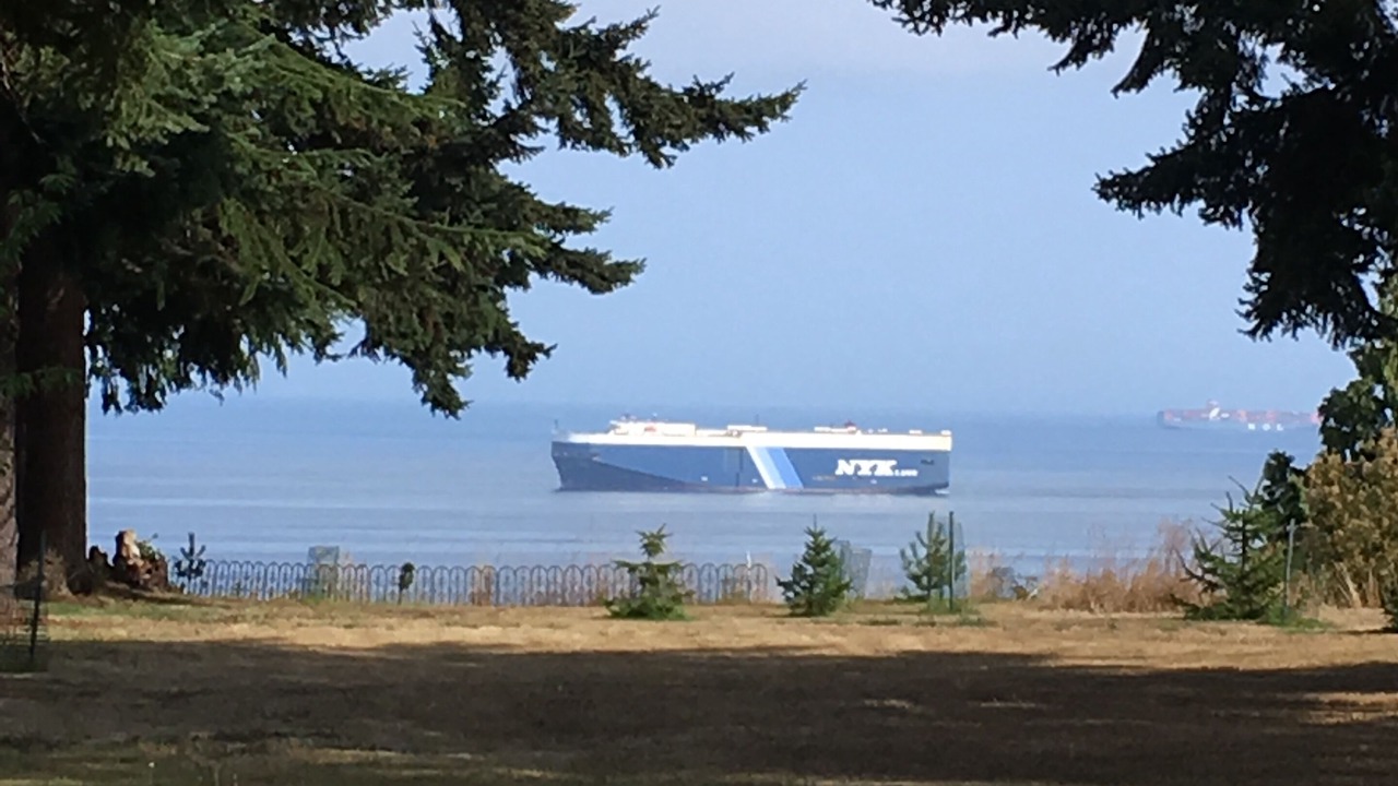 Photo of Others in Port Angeles East
