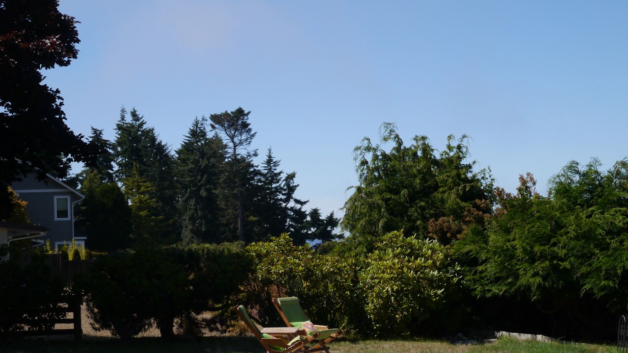Photo of Outdoor in Port Angeles East