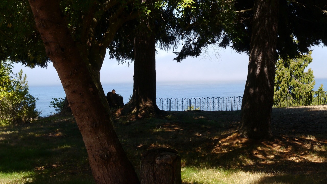 Photo of Outdoor in Port Angeles East