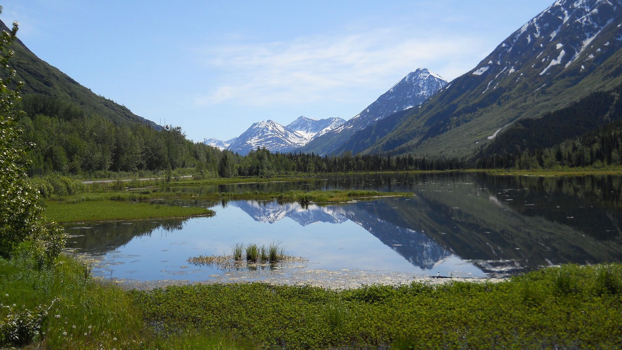 Photo of Others in Moose Pass