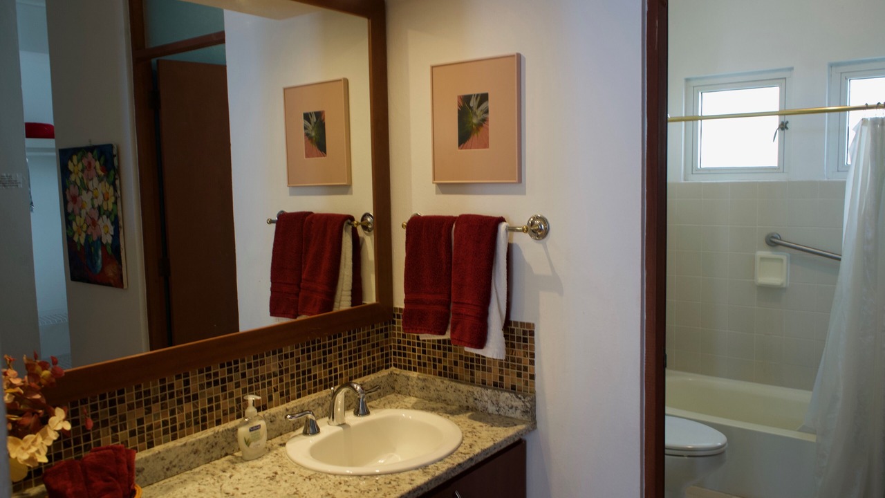 Photo of Bathroom in Mameyes II