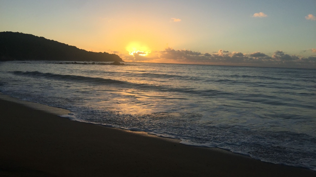 Photo of Others in Camino Nuevo